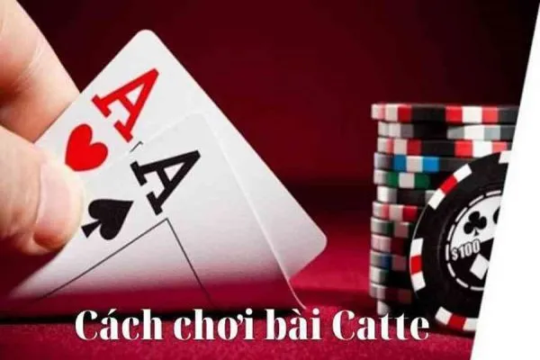 Bật mí cách chơi Catte tại Nhất Vip Club hiệu quả từ cao thủ catte-tai-nhat-vip-club-3
