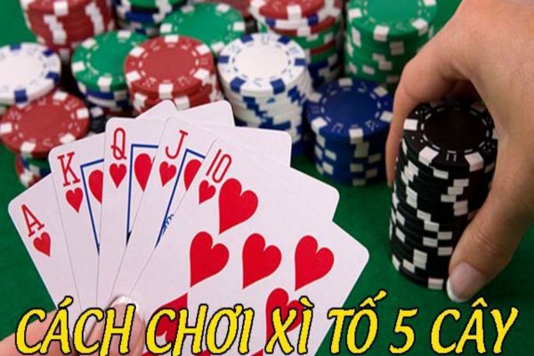 Xì tố tại Top88 - Hướng dẫn cách chơi hiệu quả nhất xi-to-tai-top88-3