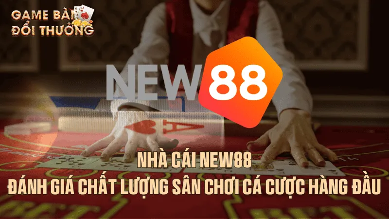 Nhà cái New88: Đánh giá chất lượng sân chơi cá cược hàng đầu Giới thiệu về nhà cái New88